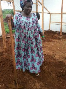 Woman preparing her greenhouse for cultivation of tomatoes and cucumbers